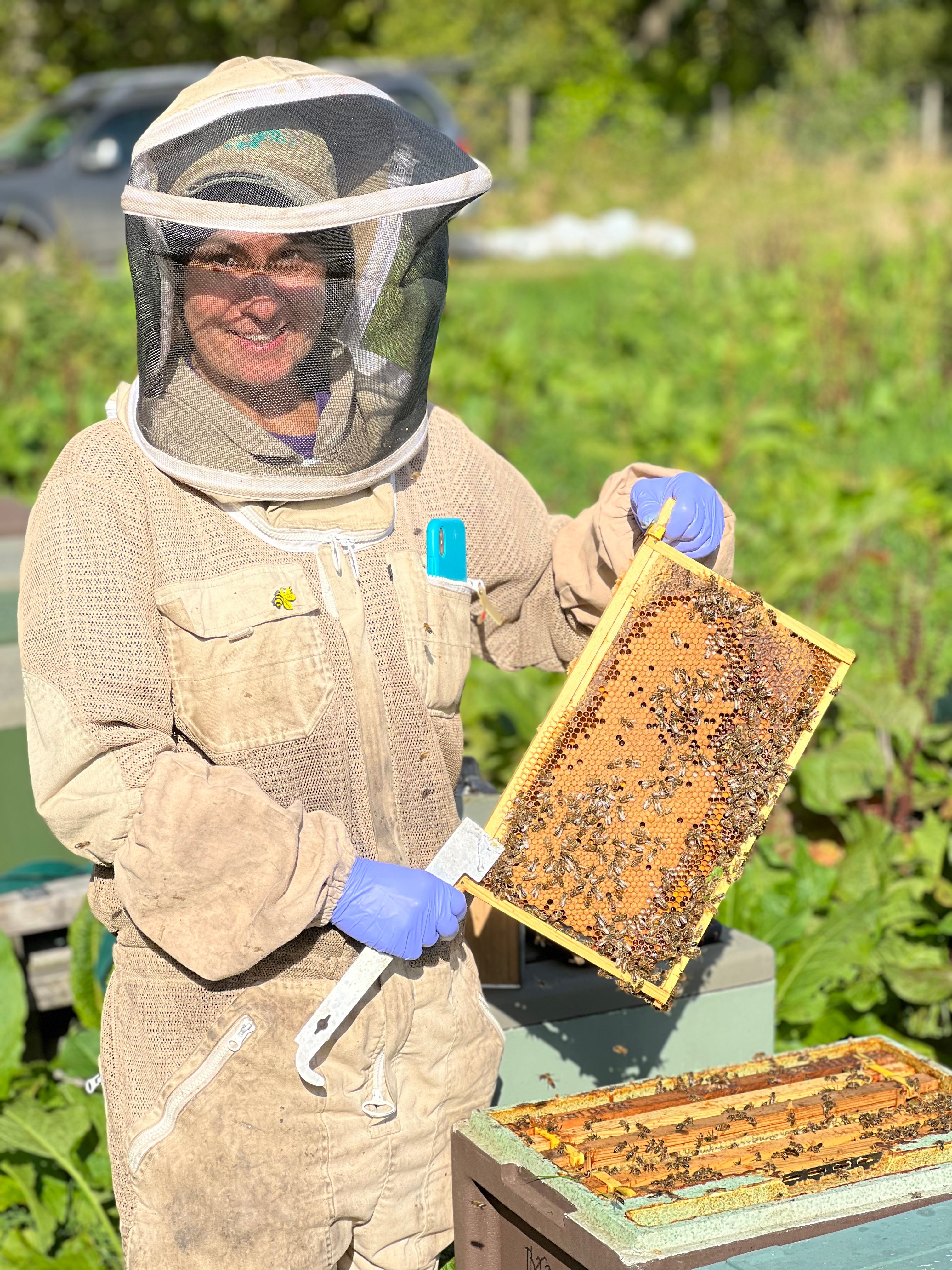 Beekeeping Course - Beginners Level